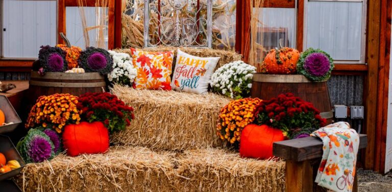 Merrow Materials | Fall Pumpkin Festival
