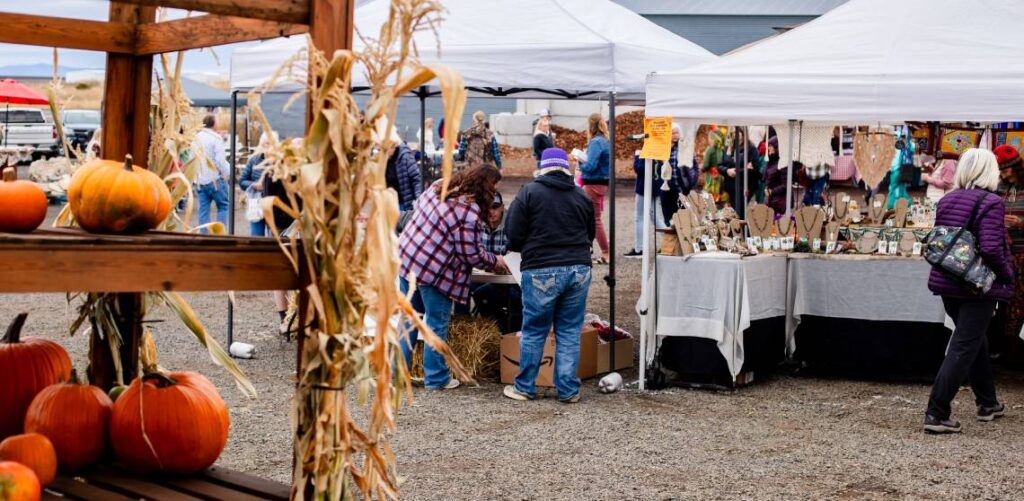 Merrow Materials | Fall Pumpkin Festival